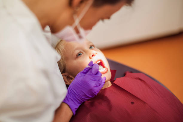 Best Emergency Dental Care for Broken or Chipped Teeth in Desoto Lakes, FL